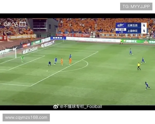 上海排球队技术争议引发热议球迷与专家各抒己见探讨战术与表现