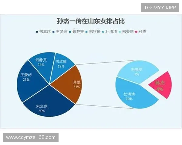 武汉排球队反击战术解析深度探讨排球竞技的魅力与挑战